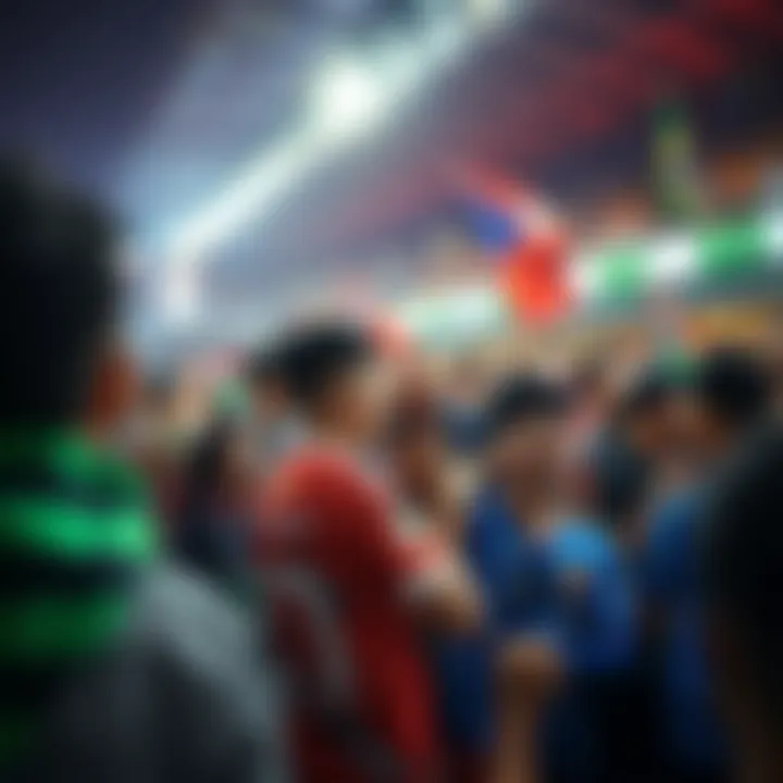 Gathering of fans for the Asian Cup