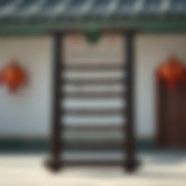 Diagram illustrating the principles of Donghaeng Power Ladder