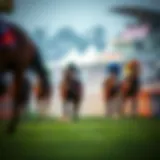 Insightful analysis of horse racing betting strategies