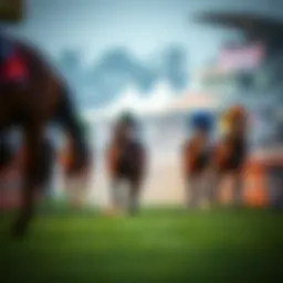 Insightful analysis of horse racing betting strategies