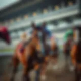 Detailed analysis of horse racing betting strategies