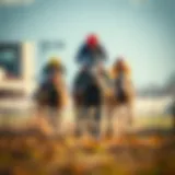 Analysis of horse racing predictions