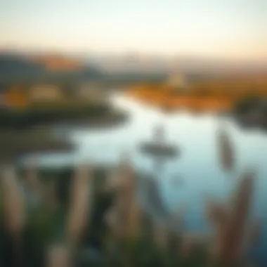 Life Transformation A serene landscape representing life changes after winning