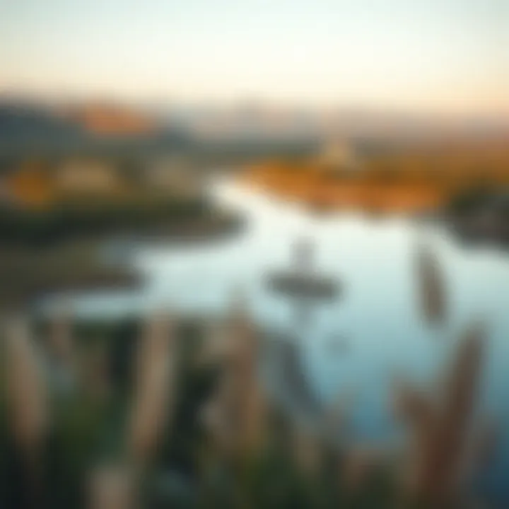 Life Transformation A serene landscape representing life changes after winning