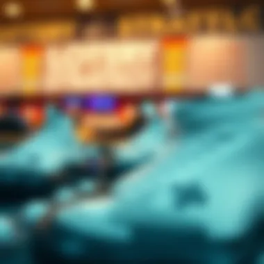 An intricate analysis of lottery strategies