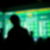 Concept of virtual accounts in finance